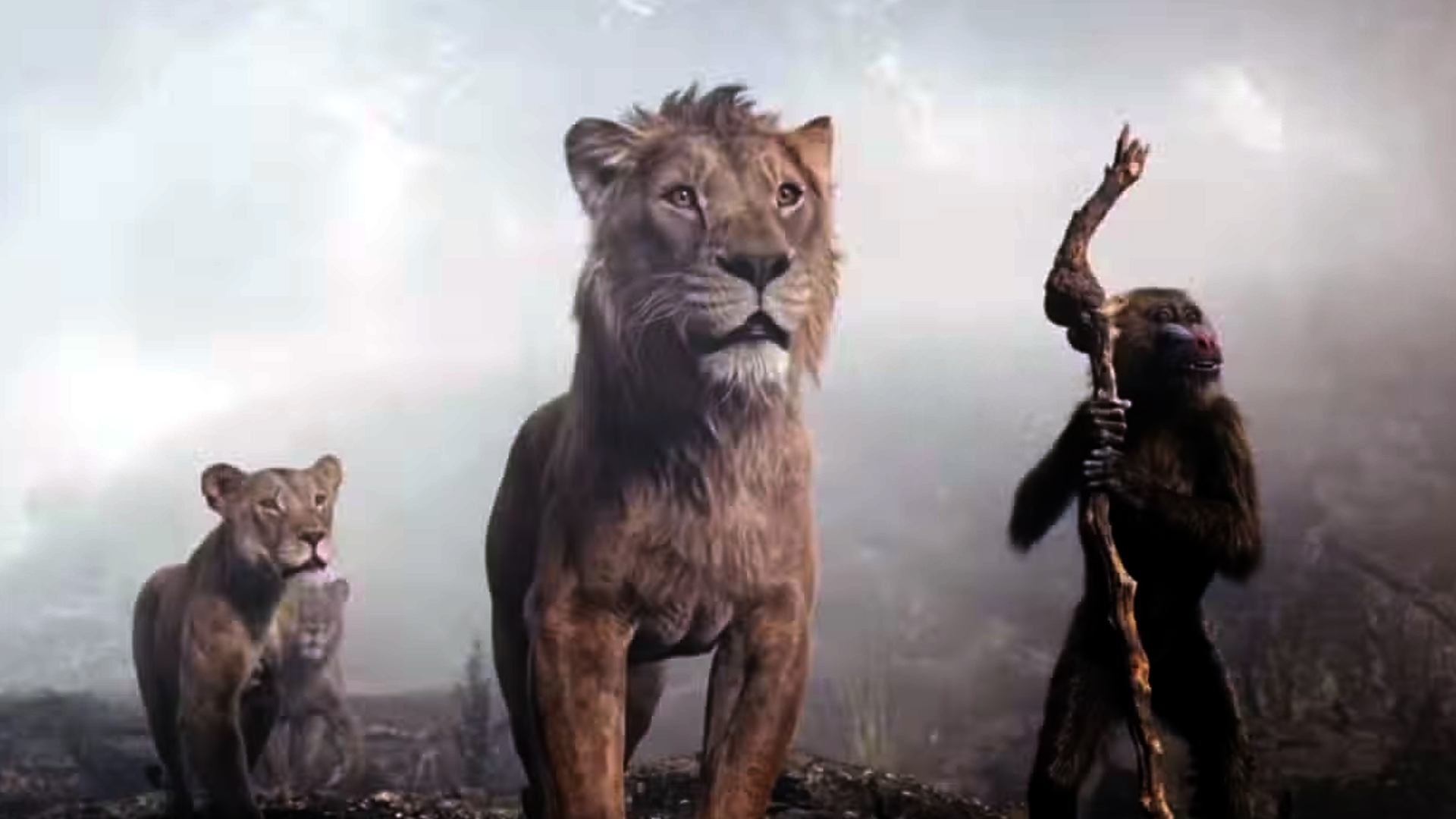 ‘ముఫాసా’ ఫస్ట్ వీక్ కలెక్షన్స్.. వసూళ్లతో ముందుకొస్తున్న 'సింహం'