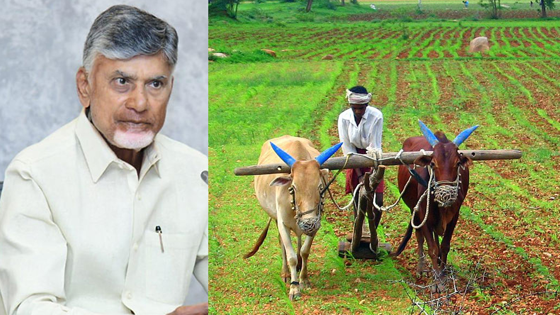 రైతులకు రూ.20 వేల సాయం.. ఎప్పుడో తెలుసా?