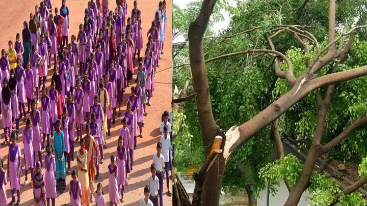school-tree-branch-accident-annamayya District veligallu