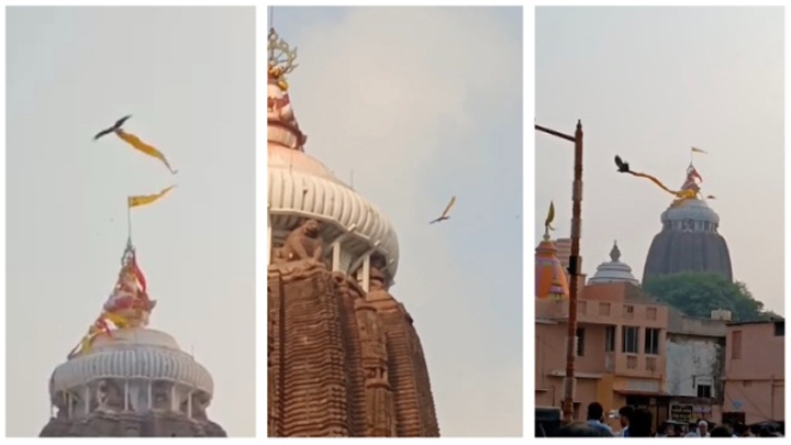 భ‌క్తి ప్ర‌ద‌ర్శించిన గ‌రుడ ప‌క్షి