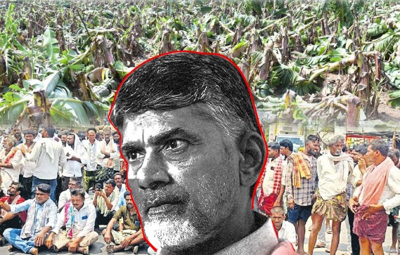 No MSP, No Hope Andhra’s farmers betrayed