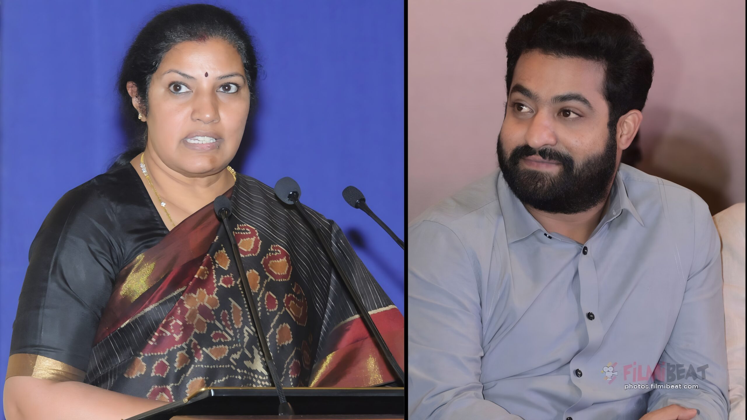 జూ.ఎన్టీఆర్ పొలిటికల్ ఎంట్రీపై పురందేశ్వరి కీలక వాఖ్యలు