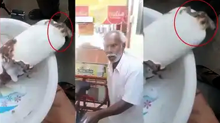 ఐస్ క్రీమ్‌లో బ‌ల్లి.. ఆస్ప‌త్రిలో చేరిన బాలుడు