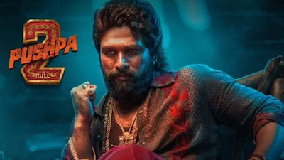 ఆరు నెలలు దాటినా తగ్గని 'పుష్ప 2' హవా: టీవీలోనూ రికార్డుల మోత!