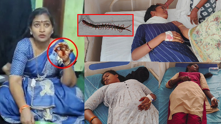 మొన్న బొద్దింక‌, నేడు జెర్రీ.. పేద‌ విద్యార్థుల‌ ప్రాణాల‌తో చెల‌గాటం