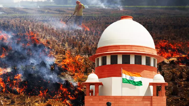 పంట వ్యర్థాలు తగలబెట్టే రైతులను జైలుకు పంపండి - సుప్రీంకోర్టు