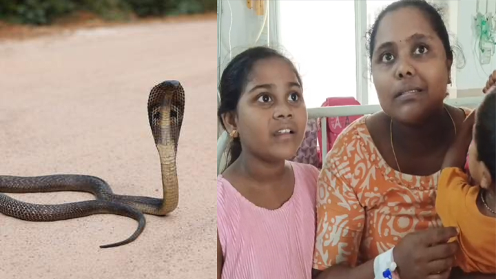 తుఫాన్ పునరావాస కేంద్రంలో పాముకాటు