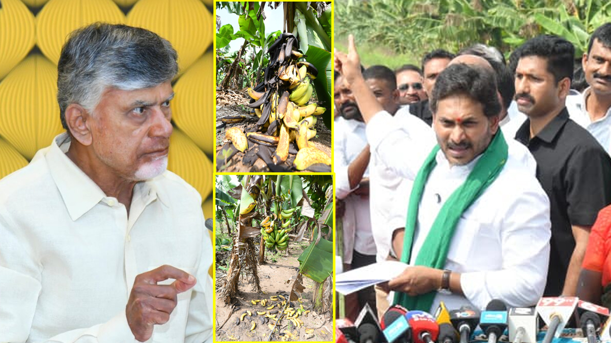 వ్య‌వ‌సాయం దండ‌గ చంద్ర‌బాబు సిద్ధాంతం - జ‌గ‌న్ కీల‌క వ్యాఖ్య‌లు