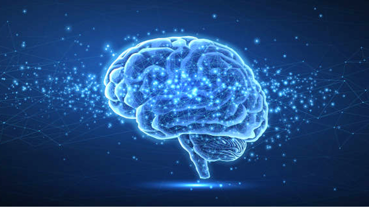 మెదడు ఆరోగ్యానికి అవసరమైన కూరగాయలు మరియు పండ్లు