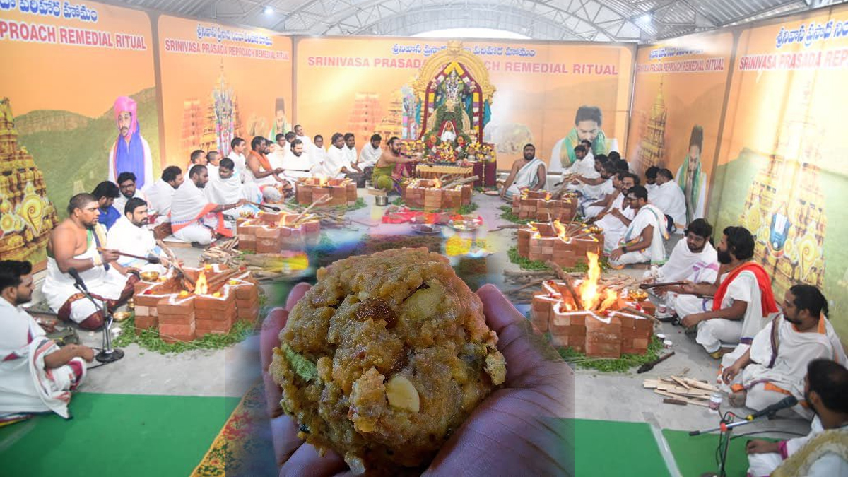 ల‌డ్డూపై దుష్ప్ర‌చారం.. ‘నిందా పరిహార హోమం’ చేప‌ట్టిన వైసీపీ