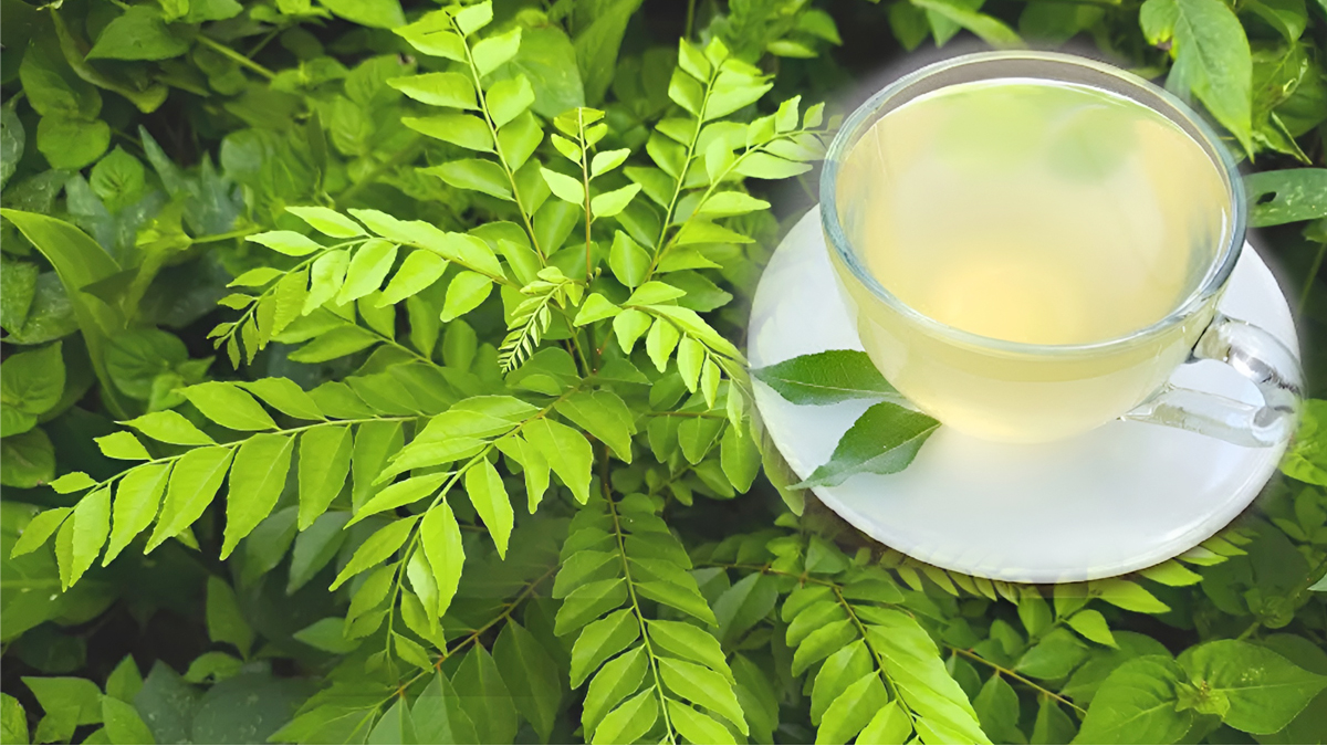 ప్రతి రోజు ఒక్క కప్పు కరివేపాకు టీ… ఆరోగ్యం, ఎనర్జీ, రిలాక్స్‌ ఒకేసారి!