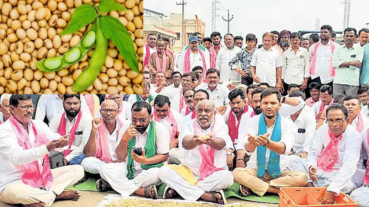 సోయా బీన్ రైతుల ఆందోళన హీట్!