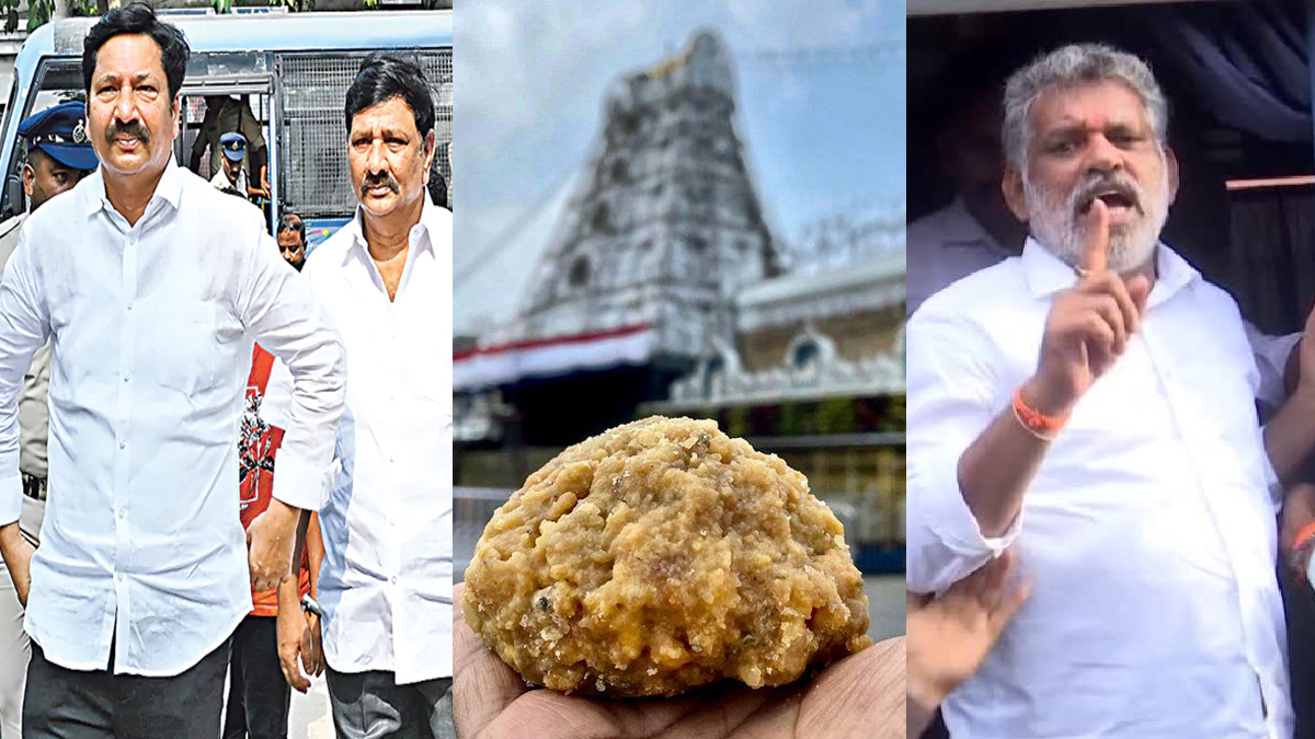 వైసీపీకి మంచి రోజులు.. అన్నీ శుభవార్తలే..