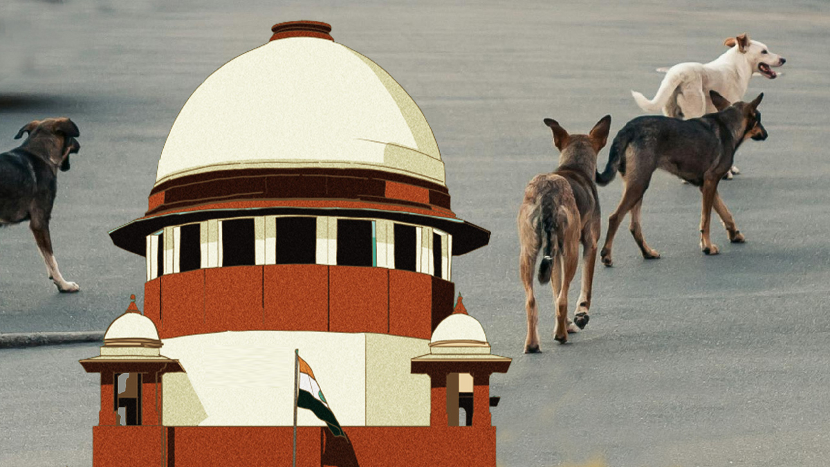 వీధి కుక్క‌లు దాడి చేస్తే వారిదే బాధ్య‌త - సుప్రీం కోర్టు కీల‌క ఆదేశం
