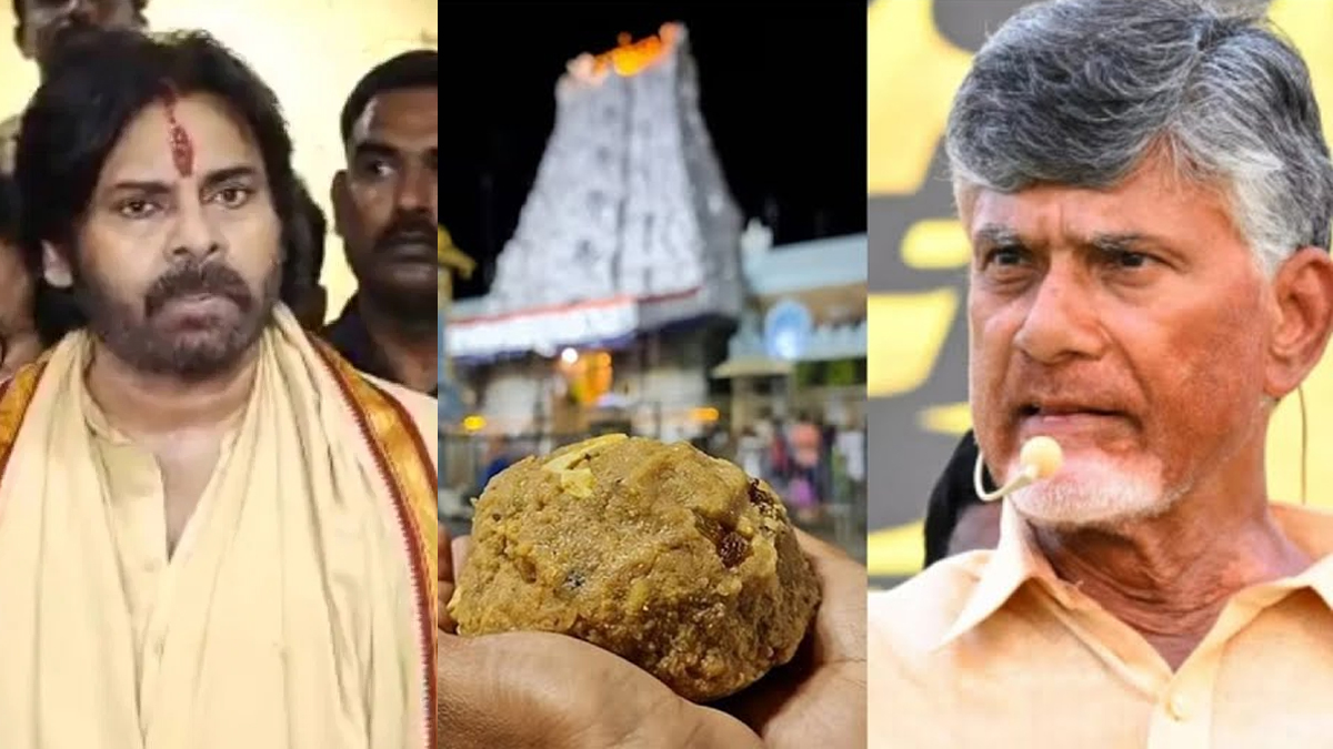 'లడ్డూలో జంతు కొవ్వు లేదట'.. కూటమిపై శ్రీవారి భక్తుల ఆగ్రహం