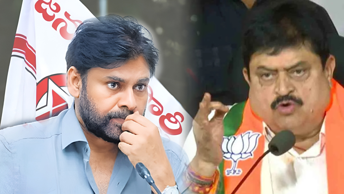 జనసేన జెండాలు చూపిస్తే మనకే మైనస్..