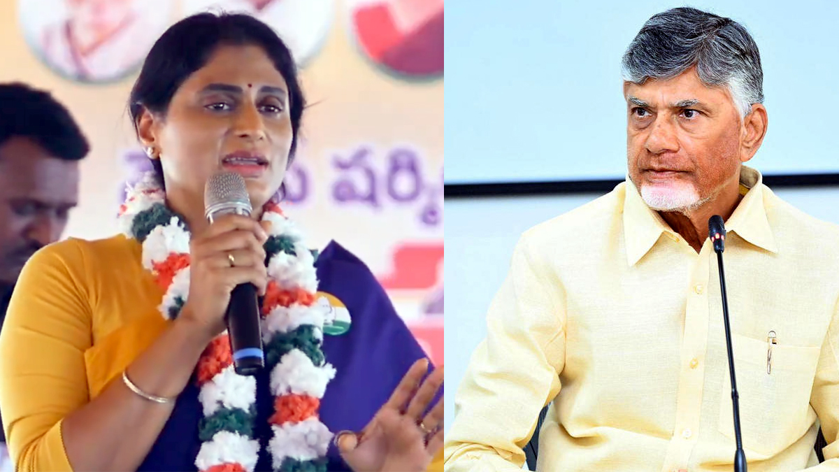 ఉన్న‌ బిడ్డలకే దిక్కులేదు.. ముగ్గురు కావాలా?.. - చంద్రబాబుపై షర్మిల ఫైర్