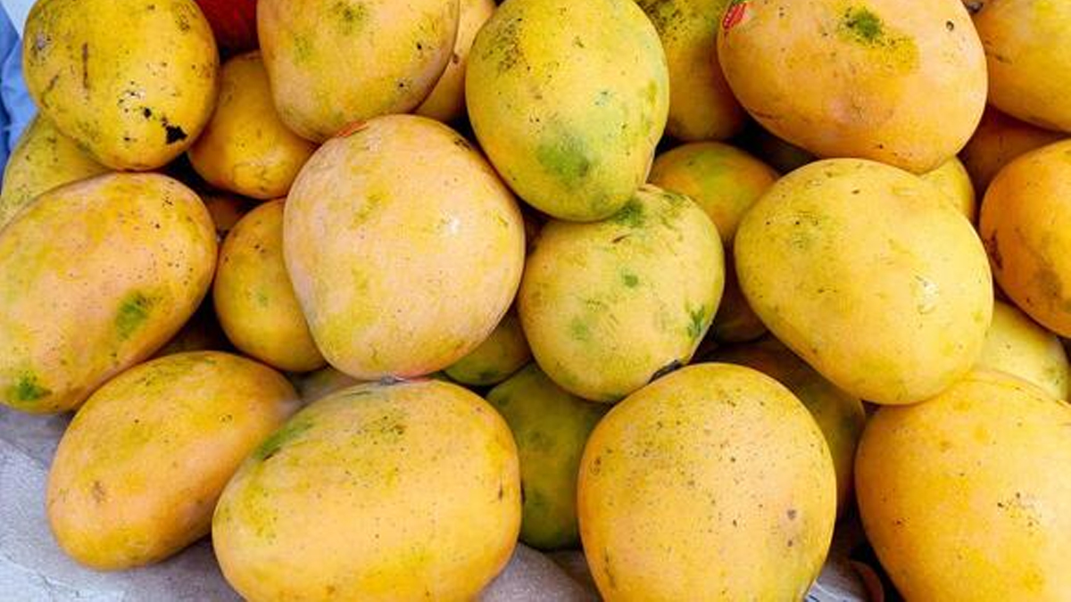 పండిన మామిడి ఎలా గుర్తించాలో తెలుసా?