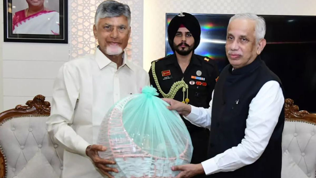 గవర్నర్‌ను పరామర్శించిన సీఎం