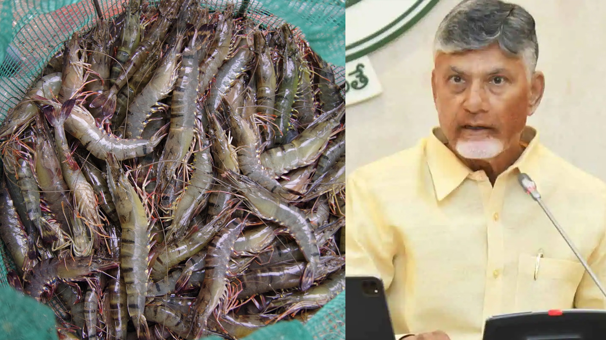 నేడు ఏపీలో ‘ఆక్వా బంద్’.. రోడ్డెక్కనున్న రైతులు, డీలర్లు