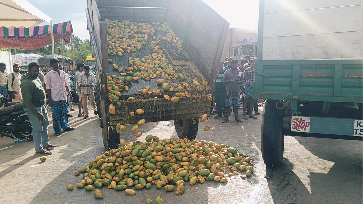 Naidu fails Mango Farmers again