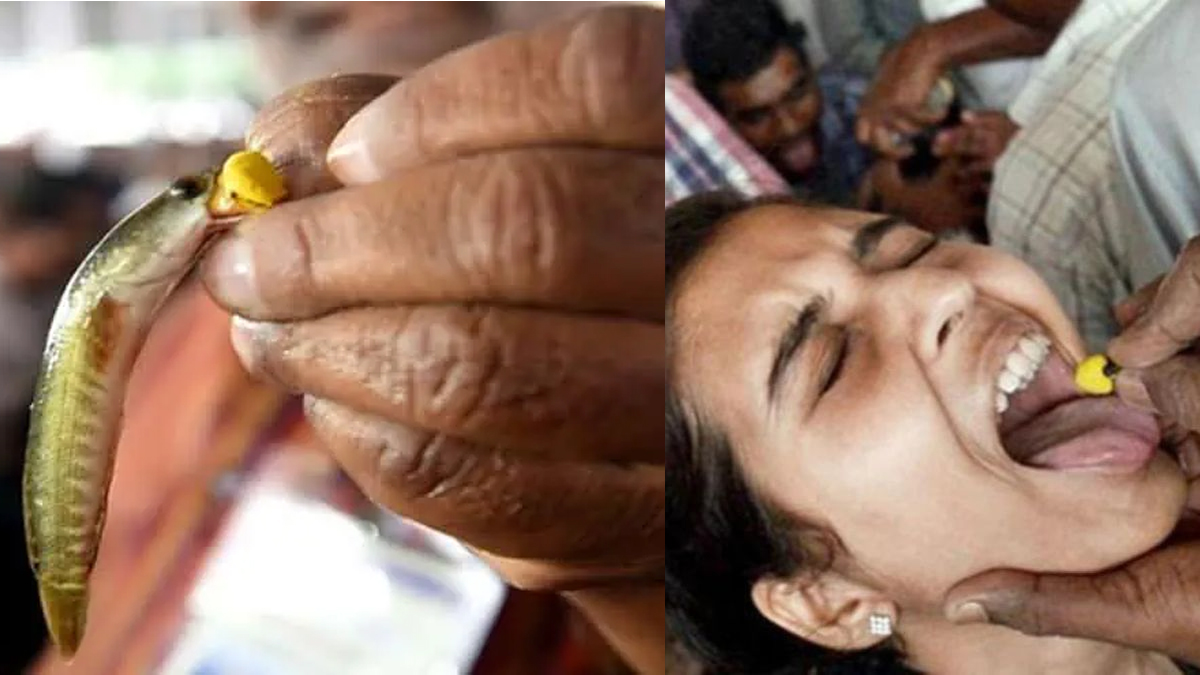 హైదరాబాద్ లో చేప ప్రసాదానికి సర్వం సిద్ధం..