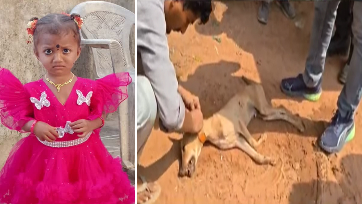 పెంపుడు కుక్క మృతి.. అసలు అడవిలో ఏం జరిగింది?