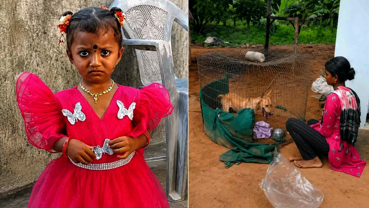 ఏడు రోజులైనా లభించని ఆచూకీ.. కుక్కకు ట్రాకర్ పెట్టినా నిరాశే..!